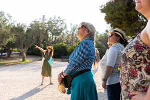 Excursion au Pirée : visite classique de l'Acropole et du musée