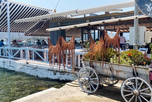 Insel Poros: Tagestour ab Athen mit Schwimmen