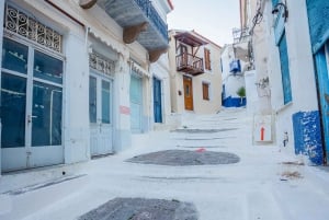 Insel Poros: Tagestour ab Athen mit Schwimmen