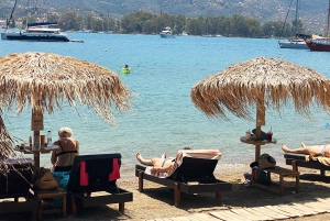 Poros: heldagsutflykt från Aten med bad