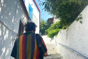 Poros: heldagsutflykt från Aten med bad