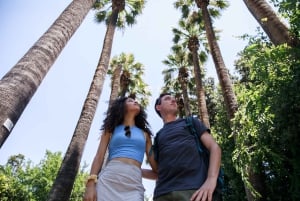 Privétour Akropolis en stadsrondleiding Athene