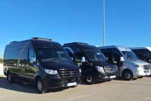 Prywatna wycieczka po Akropolu i panoramiczna wycieczka po mieście