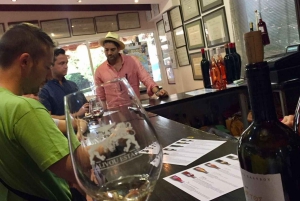 Private Ancient Corinth Tour& Nemea Wine Tasting Tour