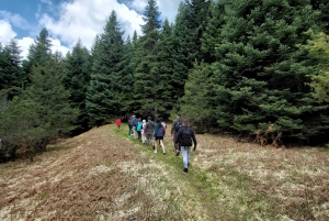 Private Excursion 2 Days: Athens - Nafpaktos & Mountainous Nafpaktia