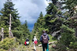 Private Excursion 2 Days: Athens - Nafpaktos & Mountainous Nafpaktia