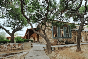 Tour particular de luxo: A Via Sagrada - Atenas a Eleusis