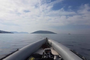 Private Rib Cruise to Poseidon Temple at Sounio Cape