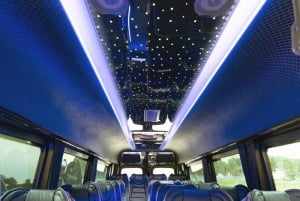 Porto de Rafina: Traslado privativo em microônibus VIP para o hotel em Atenas