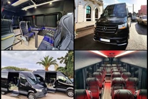 Rafinas hamn: Privat transfer med VIP-minibuss till hotellet i Aten