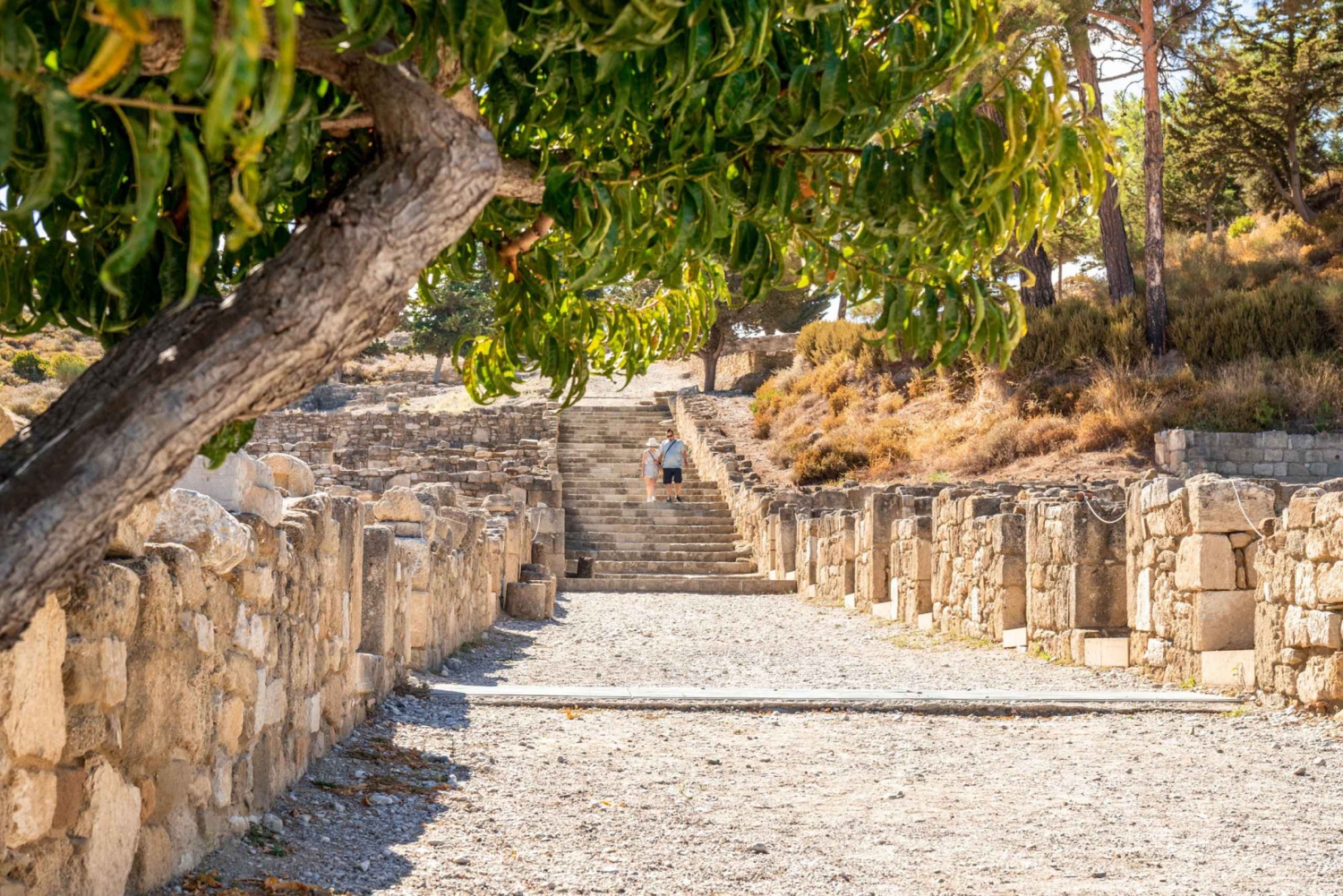 Rhodes: Ancient Kamiros, Kritinia Fort, Embona, & Filerimos