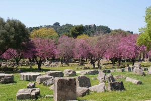 Visite en petit groupe de l'ancienne Olympie et dégustation de produits locaux