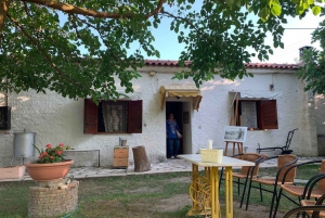 Visite en petit groupe de l'ancienne Olympie et dégustation de produits locaux