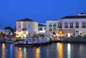 Viagem de 1 dia à Ilha de Spetses a partir de Atenas
