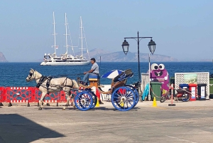 Isla de Spetses: excursión de un día completo desde Atenas con baño