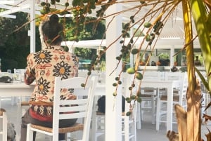 Isla de Spetses: excursión de un día completo desde Atenas con baño