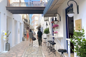 Isla de Spetses: excursión de un día completo desde Atenas con baño