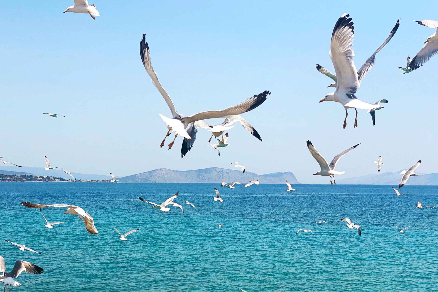 Insel Spetses: Ganztägige Tagestour ab Athen mit Schwimmen