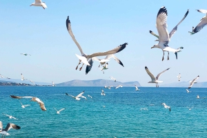 Insel Spetses: Ganztägige Tagestour ab Athen mit Schwimmen