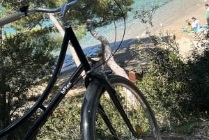 Solsykling i Athen: Lei en sykkel og utforsk byen