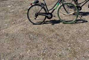 Solsykling i Athen: Lei en sykkel og utforsk byen