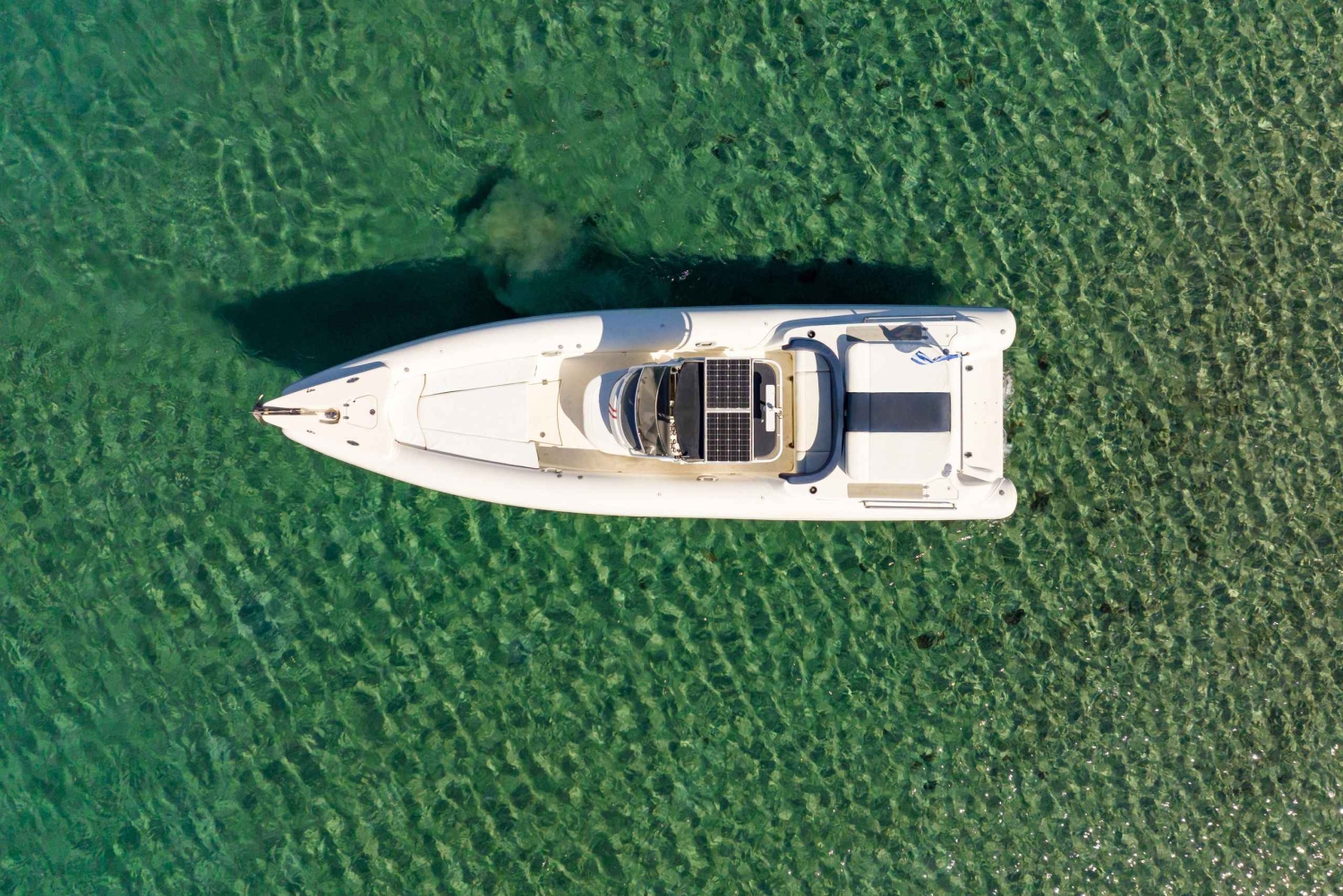Les Athéniens - croisière privée d'une journée sur la Riviera d'Athènes
