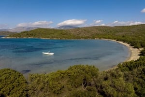 Athenerne - privat heldagskrydstogt til Athens riviera