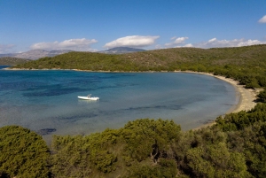 Les Athéniens - croisière privée d'une journée sur la Riviera d'Athènes