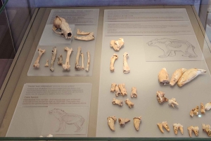 Theopetra-grottan 130 000 f.Kr. och Meteora-klostren