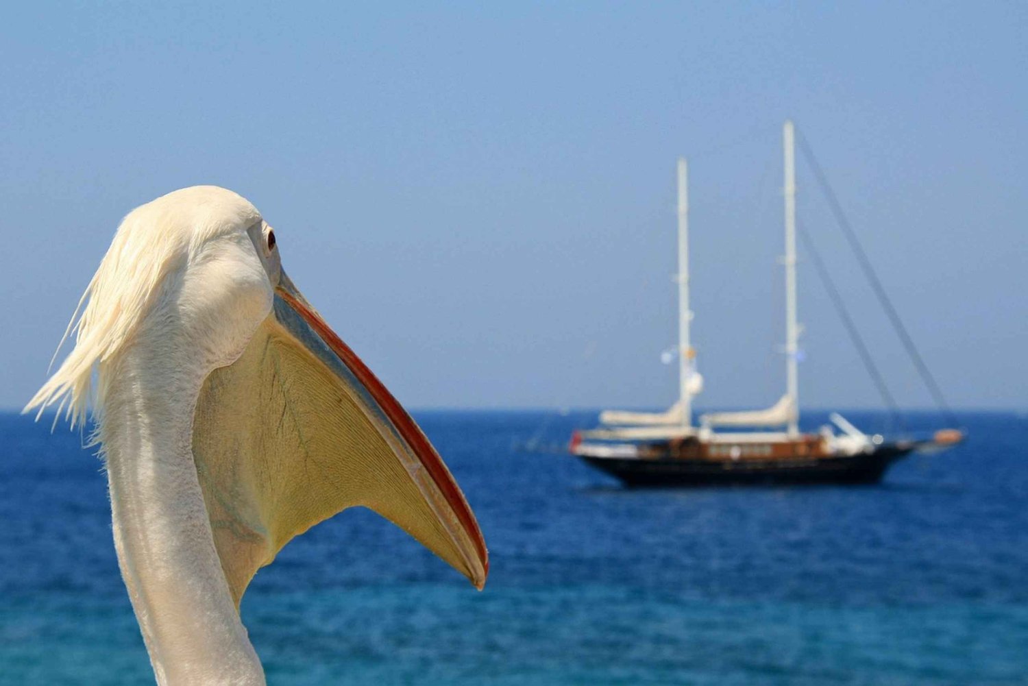Viaja de Atenas para Mykonos num dia
