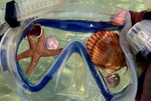 Atenas VIP: Hidra, Poros y Egina Crucero de un día con almuerzo