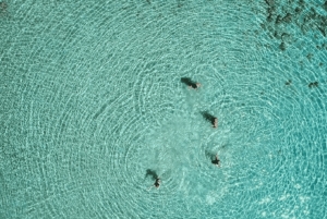 VIP Aten: Hydra, Poros och Aegina dagskryssning med lunch