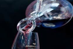 Festivals, Holidays & Events