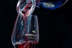 Greek Food you should Taste!