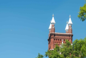 Tour a piedi privato e guidato degli highlight del centro di Atlanta