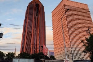 Atlanta: Downtown, Midtown, and Buckhead Highlights Tour