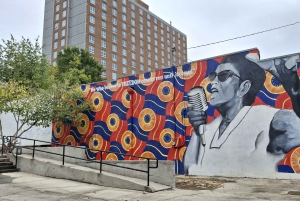 Atlanta: Visita guiada a pie por el barrio de Martin Luther King Jr (en francés)