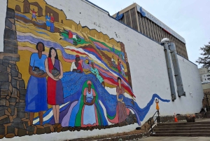 Atlanta: Visita guiada a pie por el barrio de Martin Luther King Jr (en francés)