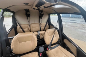 Atlanta: Private Scenic Helicopter Tour