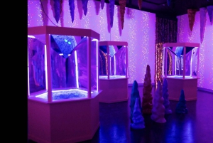 Atlanta: Sloomoo Institute Adgangsbillet
