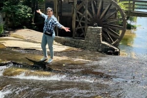 Atlanta: Stone Mountain Park Tour