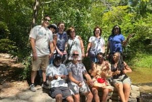 Atlanta: Stone Mountain Park Tour