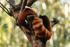 Atlanta: Zoo Atlanta General Admission Ticket