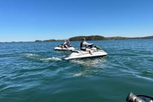 Buford: Jetski-Fahrt und Tour auf dem Lake Lanier