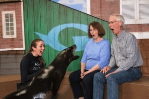 Georgia Aquarium: Sea Lion Encounter