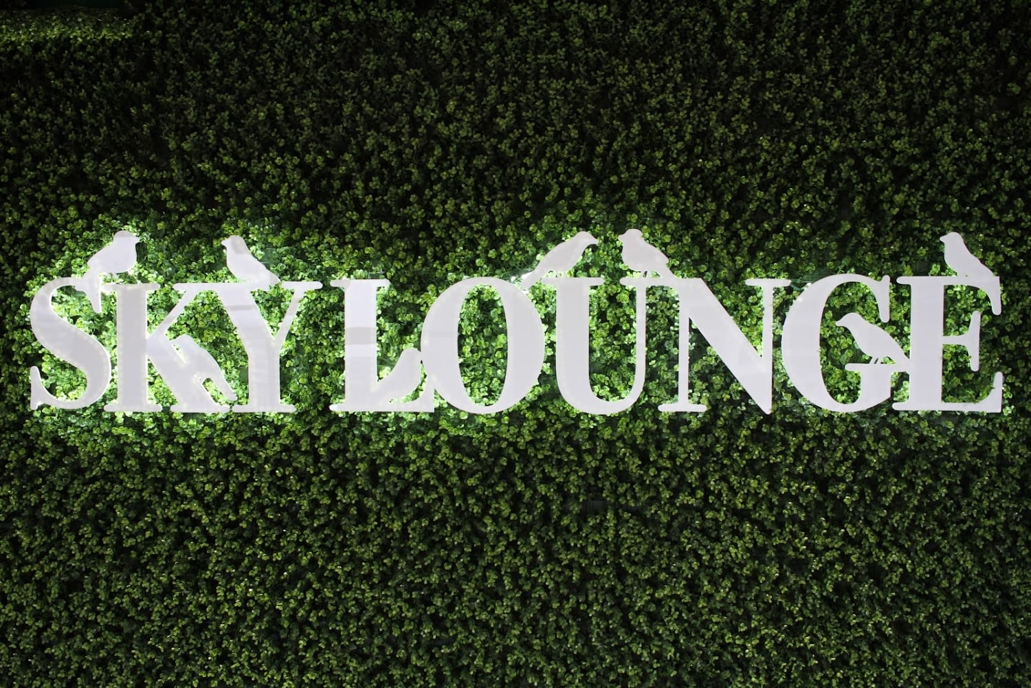 SkyLounge