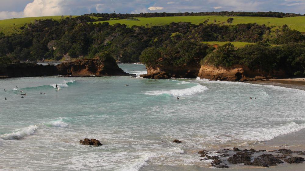 Tawharanui Beach