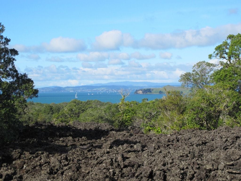 Rangitoto Island View