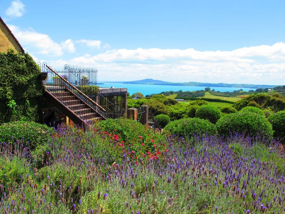 Mudbrick Vineyard