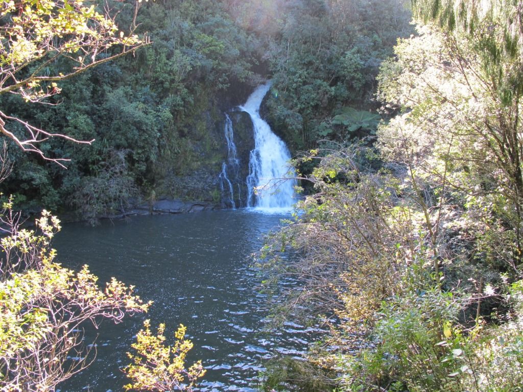 Waitakere Ranges